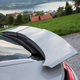Illustration for article titled The 2017 Porsche Panamera Isnt Hardcore Enough To Buy Just Yet